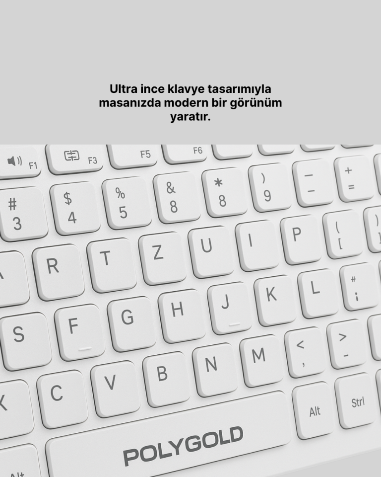 PG-8040 KLAVYE VE MOUSE SETİ