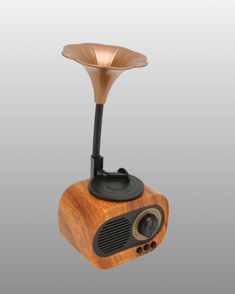 B5 RADYO