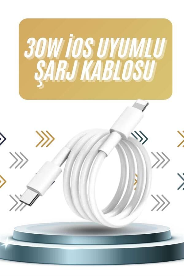 IOS Tüm Serilerle Uyumlu 30W Hızlı Şarj Aleti 11 12 13 14/Pro Max Mini Plus